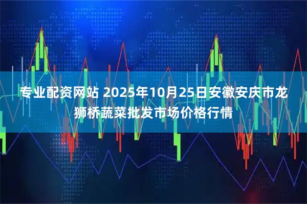专业配资网站 2025年10月25日安徽安庆市龙狮桥蔬菜批发市场价格行情